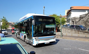 Bus Porto Card STCP