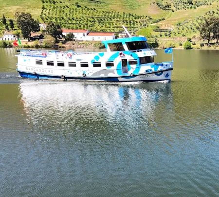 Boat Tour Porto Tip