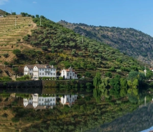 Douro Tal Boot Tour Wein